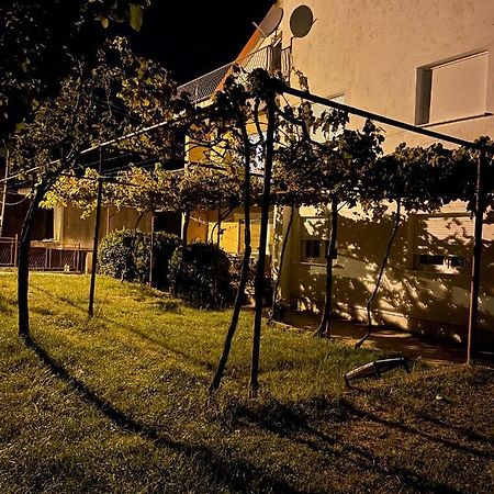 Entire 1-Bedroom Apartment With Free Parking Podgorica Extérieur photo
